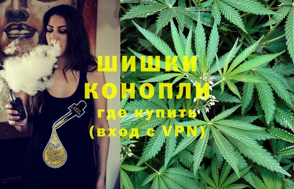 спиды Покровск
