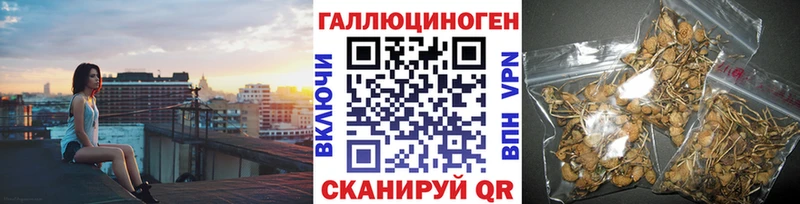 Псилоцибиновые грибы прущие грибы  hydra онион  Зубцов 