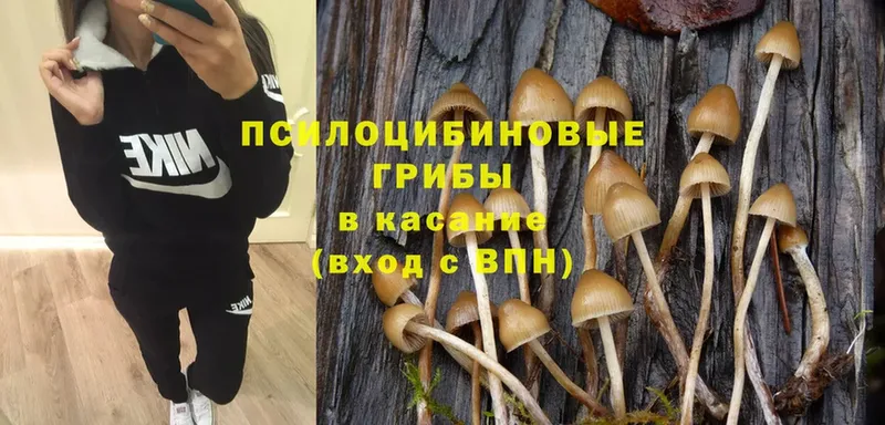 Галлюциногенные грибы MAGIC MUSHROOMS  Зубцов 